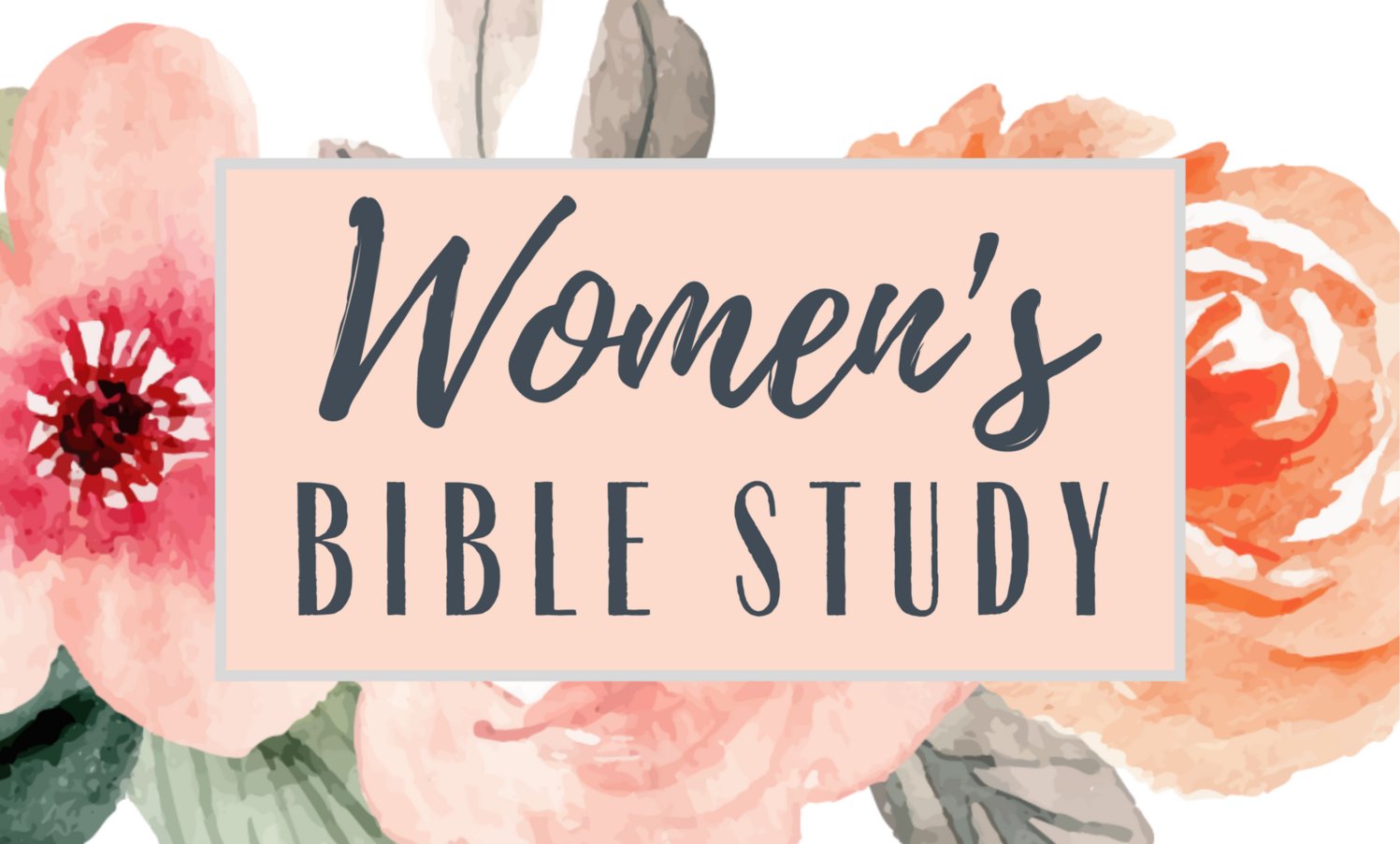 Bible Studies